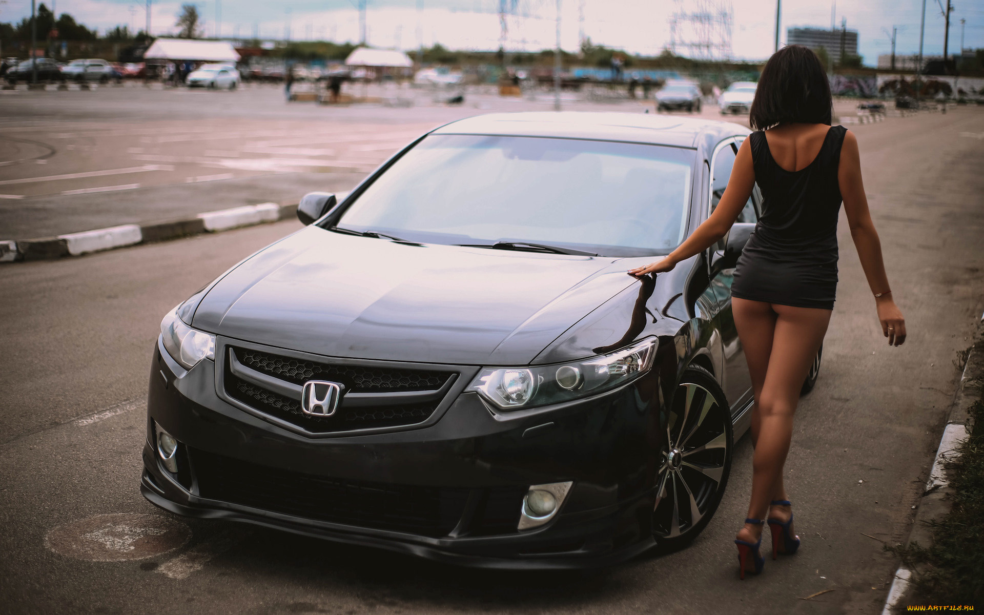 , -  , honda, accord